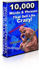 Thumbnail 10,000 Words & Phrases That Sell Like CRAZY (MRR) Thumbnail 10,000 Words & Phrases That Sell Like CRAZY (MRR)