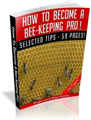 Product picture How To Become A Bee-Keeping Pro  (MRR)