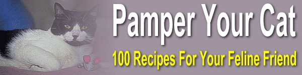 Product picture Pamper Your Cat: 100 tempting and tasty treats for cats MRR