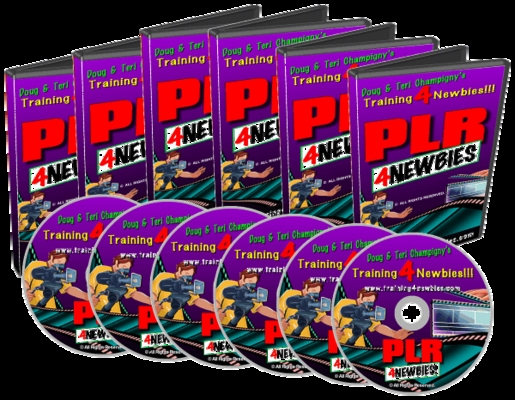 Product picture The PLR For Newbies Video Series (MRR)