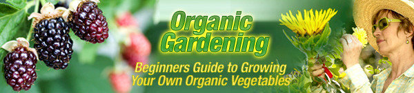 Product picture Organic Gardening for Beginners (MRR)