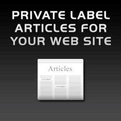 Product picture 49 Real Estate PLR Articles